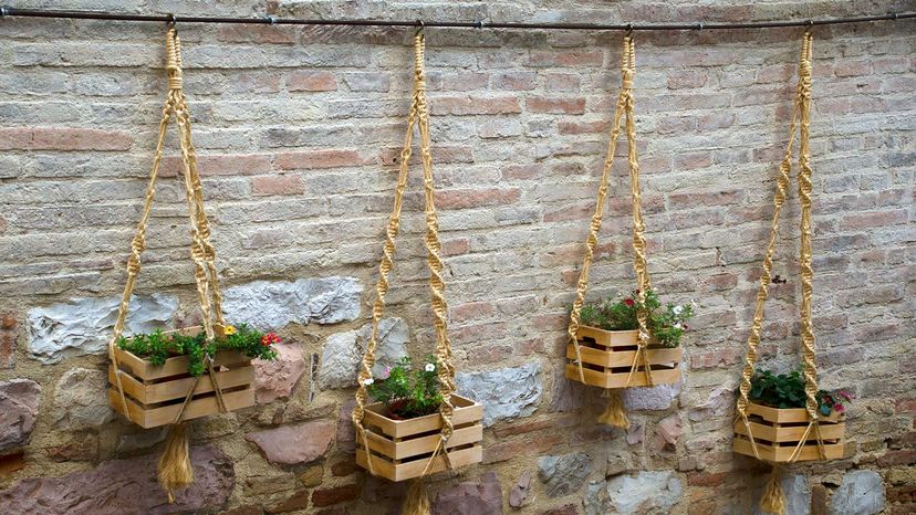 hanging gardens