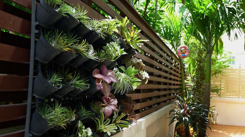 wall-mounted garden