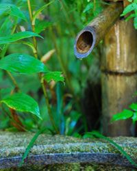 small ponds and water features