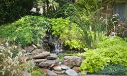 Easy DIY Zen Garden // Bonsai Tree, Faux Waterfall, Rock Feature 