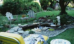 small ponds and water features