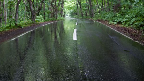 rainy road