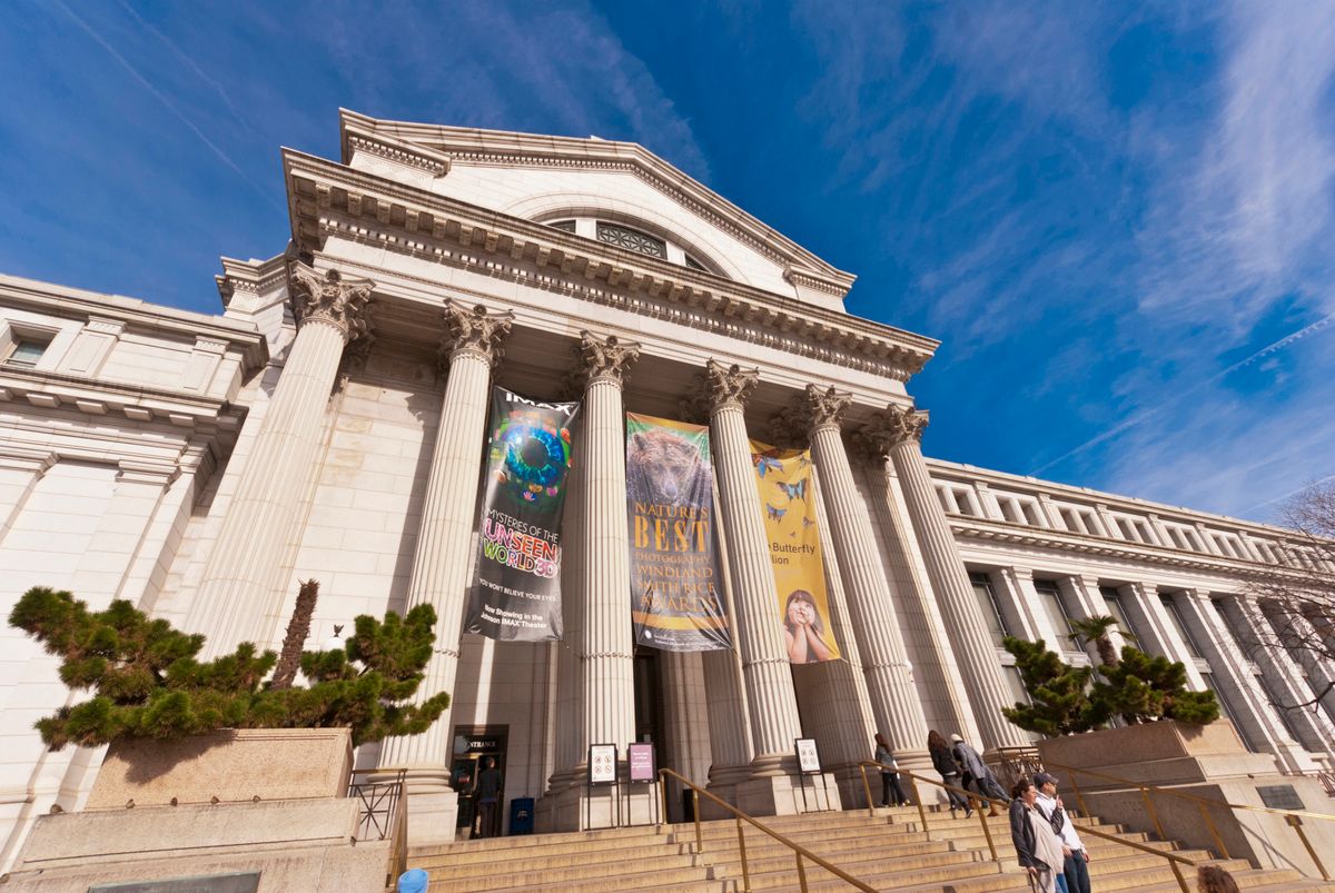 Do-It-Yourself Exhibits  Smithsonian National Museum of Natural History