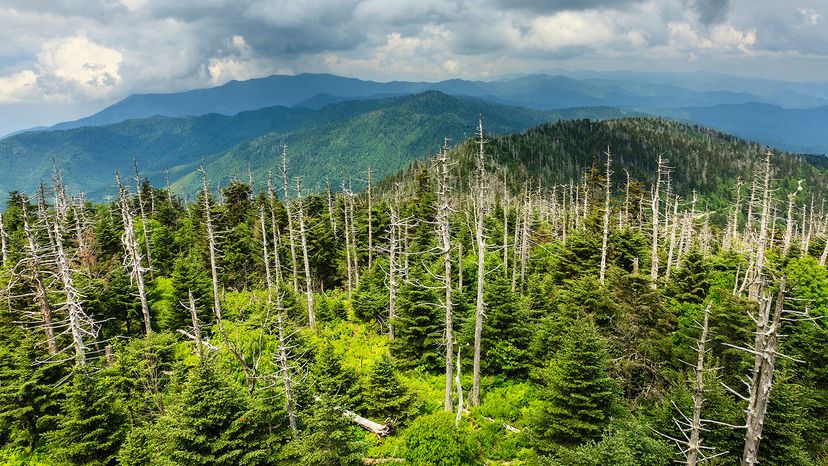 Great Smoky Mountains National Park