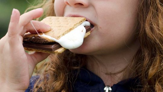 Everything You Ever Wanted to Know About S'mores