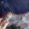 What Is Smudging? Can Burning Sage Purify a Space of Negative Energy?