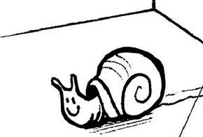 Snails move slowly, which makesthem easy to observe.