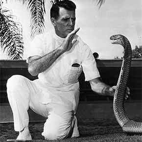 Legendary snake handler Bill Haast has some one-on-one time with a cobra in 1972.
