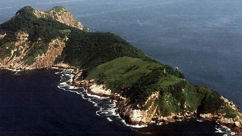 snake island