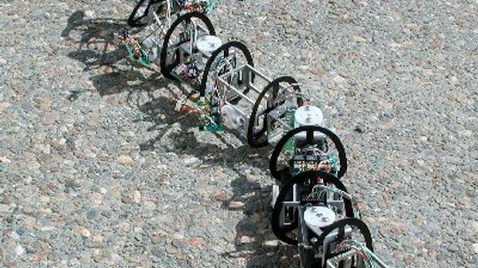 18新利最新登入Snakebots将如何工作”width=