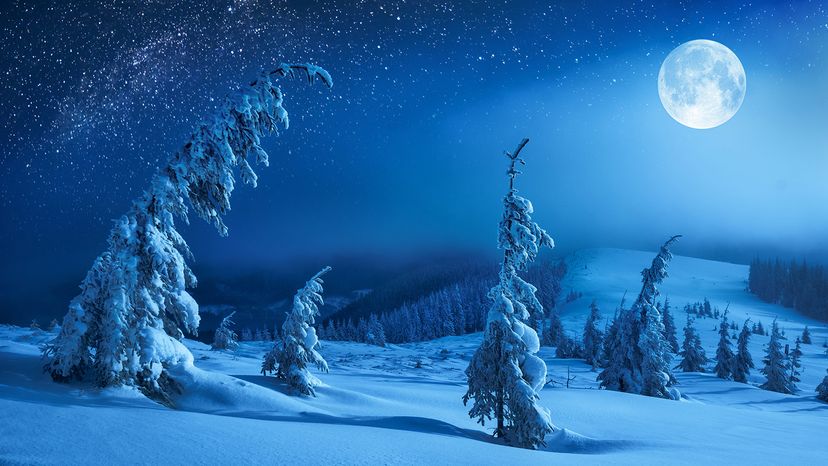moon in snowy forest