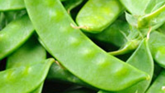 Snow Pea: Natural Food