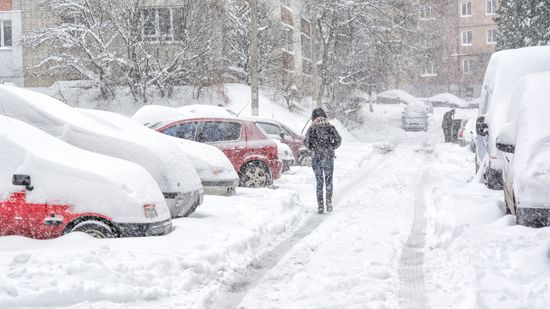 降雪之后为什么会变得如此安静?”class=