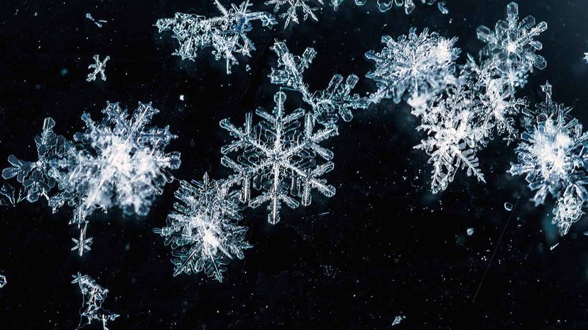 Curious Questions: Are snowflakes really all unique? - Country Life