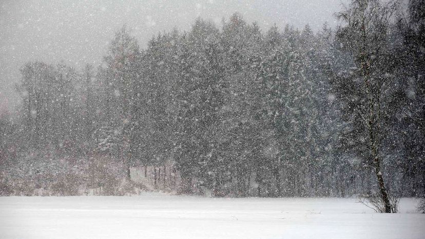 Why do snowflakes look like that? And other mysteries of nature's