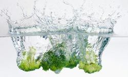 broccoli in water