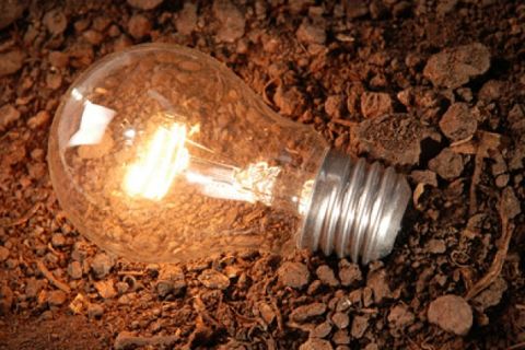 Image of Compost-powered light bulb