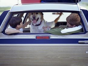 kids in car