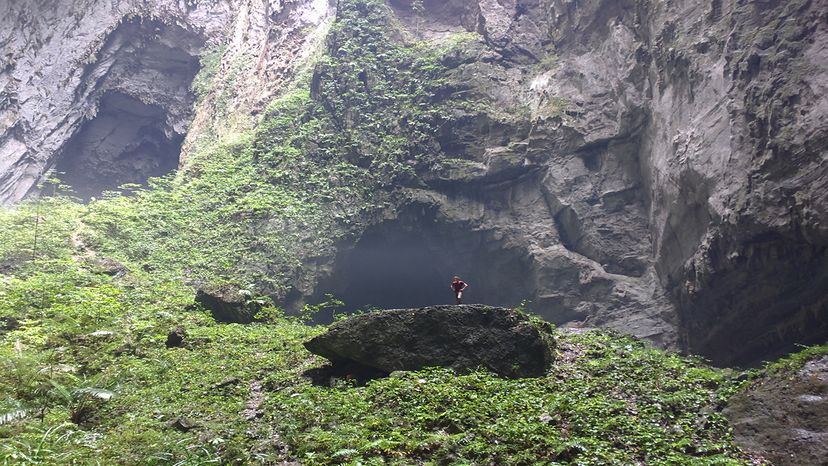 挂儿子Doong“border=