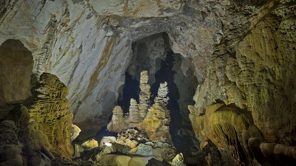 Vietnam's Massive Hang Sơn Đoòng Cave Has Its Own Jungles