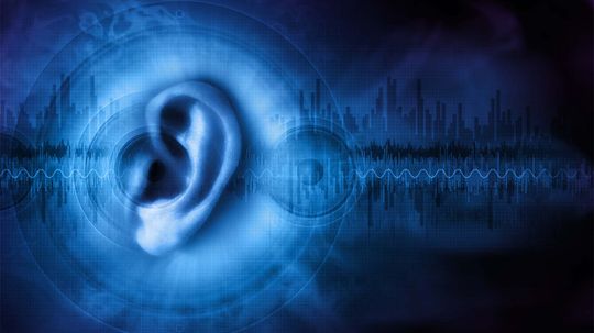 Scientists Discover Protein That Could Help Restore Hearing