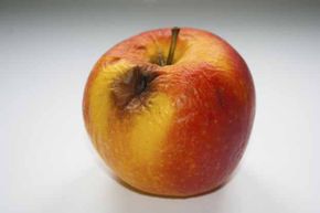 A patient with diabetic ketoacidosis emits an smell that's been likened to rotting apples.
