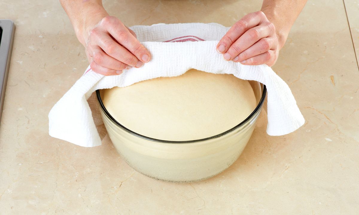 Catching the Wild Yeast How Sourdough Bread Works HowStuffWorks