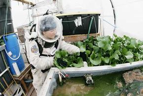 Veronica Ann Zabala-Aliberto works on an earth-bound, closed-system farming experiment that could be useful for extraterrestrial travel and settlement. The experiment is located at the Mars Desert Research Station in Utah. See more astronaut pictures.