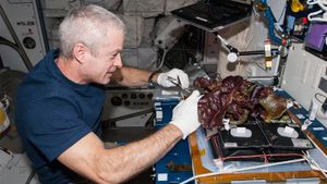 How Do Astronauts Eat In Space Howstuffworks