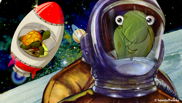 The Time Two Russian Space Tortoises Beat Apollo to the Moon