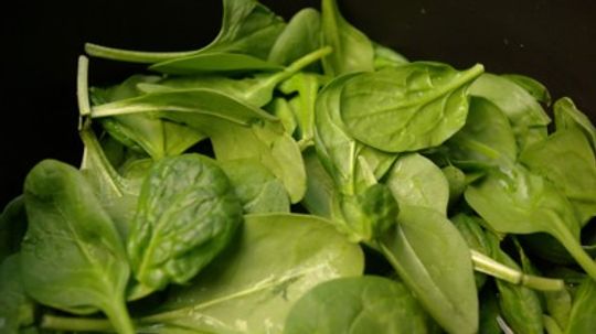 Spinach Questions