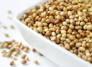 bowl of coriander seeds