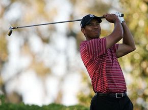 如果能从老虎伍兹(Tiger Woods)这样的高尔夫大师那里得到挥杆方面的建议，那该多棒啊!＂border=