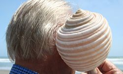 You can't use that shell to cover your ears all day; use some SPF instead!