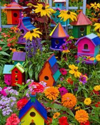 色彩缤纷的鸟舍可以为你的花园派对增加一个很好的装饰——客人们最后都可以把自己带回家!”border=