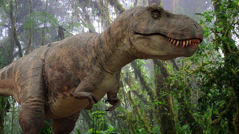 Tyrannosaurus rex might be one species, not three, after all