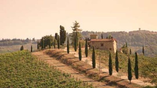 Ultimate Guide to the Tuscany Wine Region