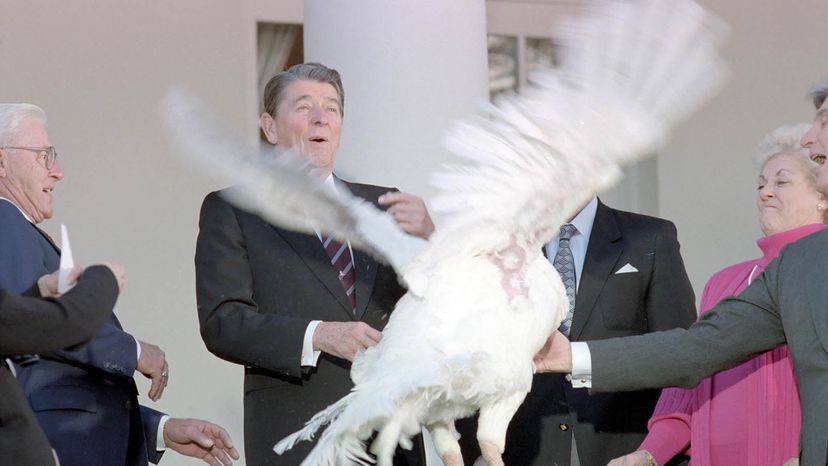 Reagan pardoning turkey
