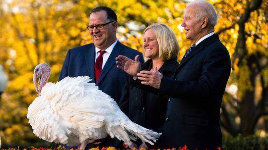 为什么世界上美国前sidents Pardon Turkeys?