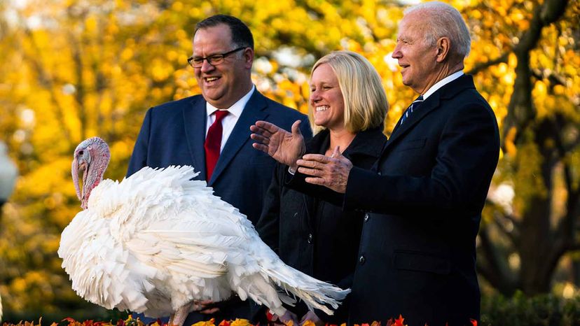 Biden pardoning turkey