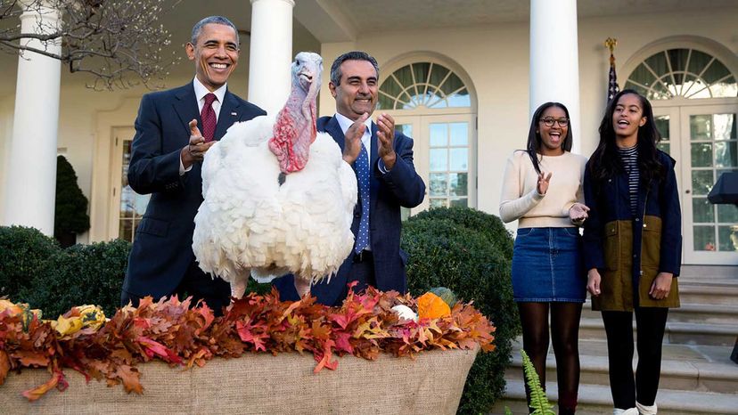 Obama pardons turkey