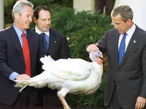 Each year, the National Turkey Federation presents the U.S. president with two live turkeys. Nowadays, those birds receive official pardons during a special ceremony.