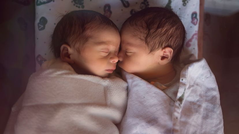 Male fraternal twin babies sleeping