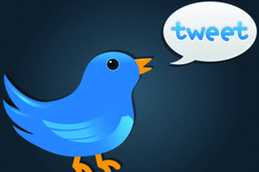 Twitter-like bird saying "Tweet"