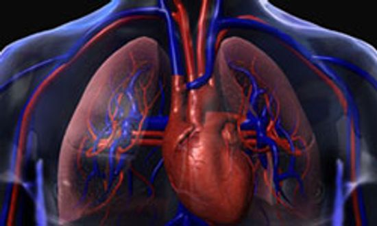 The Basics of Lung Cancer