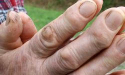 weathered working hands held together to pray