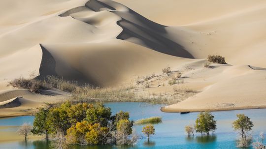 Taklamakan Desert: Unveiling Asia's Largest Sand Sea and its Enigmatic Wonders