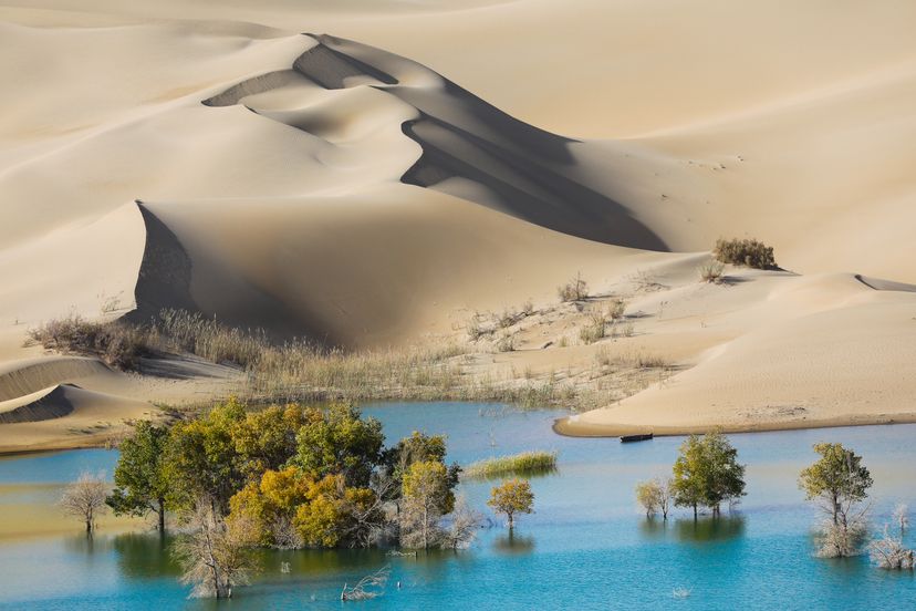 A lake on the edge of Taklimakan Desert landscape image