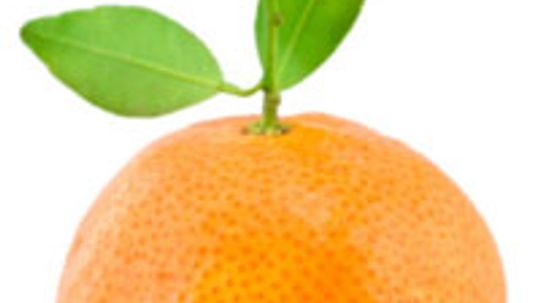 橘子:天然食物＂border=