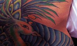 Tattoos decorate the body with ink injected into the skin. Learn about creating tattoos, from sterilizing tattoo equipment to finding a tattoo parlor.